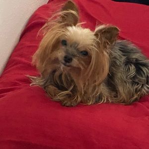 Meet your Posher, Theresa